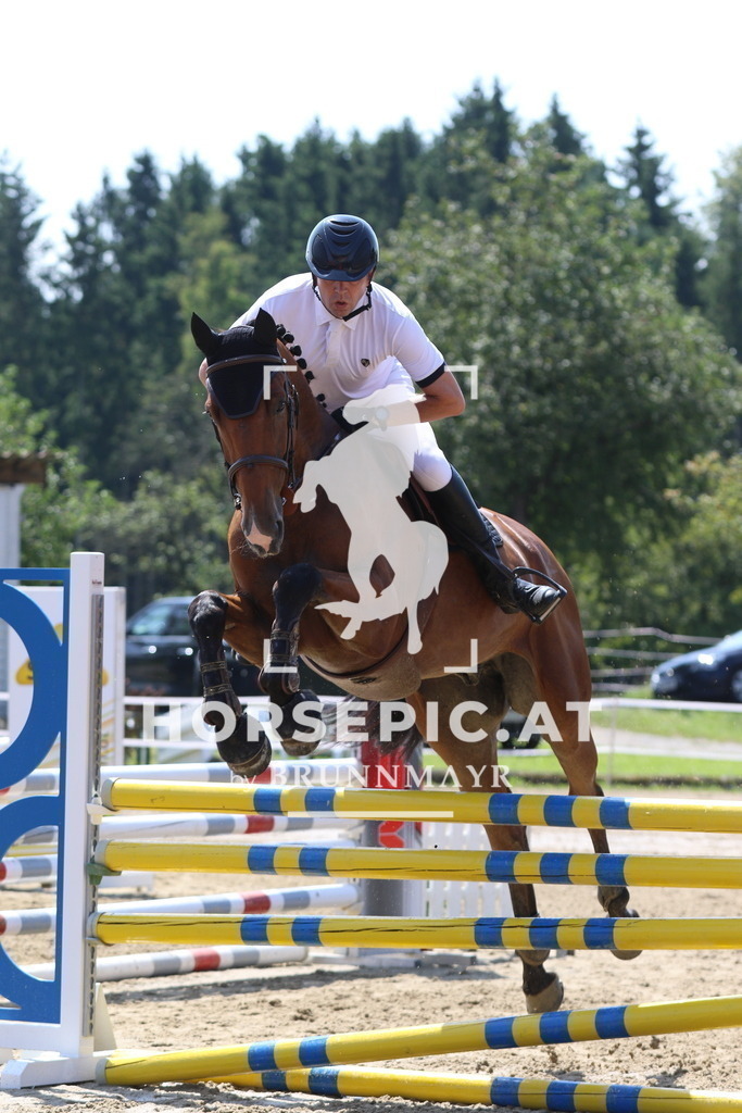 7V2A3267 | Willkommen bei Brunnmayr - Design & Fotografie – Ihrem Spezialisten für Reitturniere und Pferdeveranstaltungen in Oberösterreich, Salzburg und Bayern! Seit über 17 Jahren sind wir leidenschaftlich dabei.
