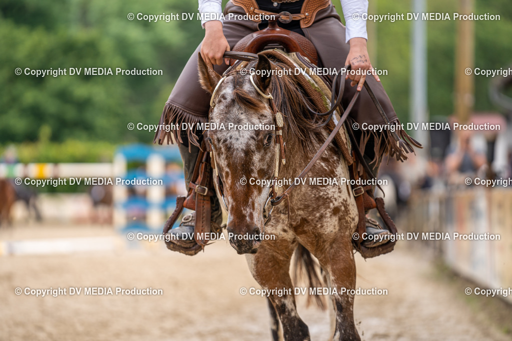 Zeiskam Tag 1-716 | dv-media-shop - Realisiert mit Pictrs.com