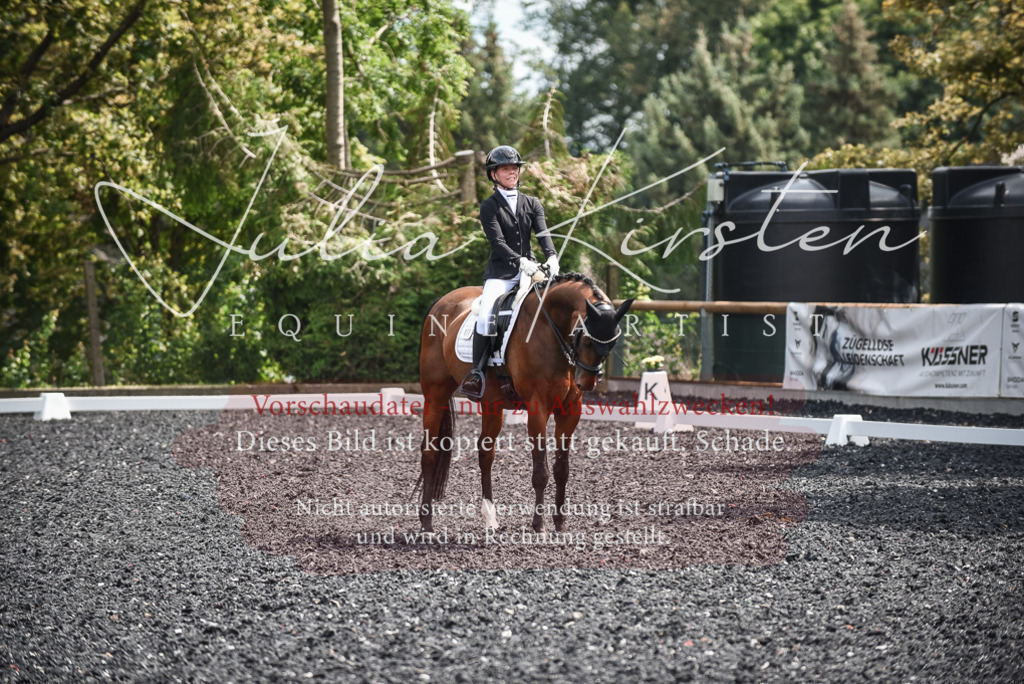 DSC_4782 | Pferde- und Turnierfotografie in Westsachsen. Pferdeportraits, Auftragszeichnungen und intuitive Kunst.