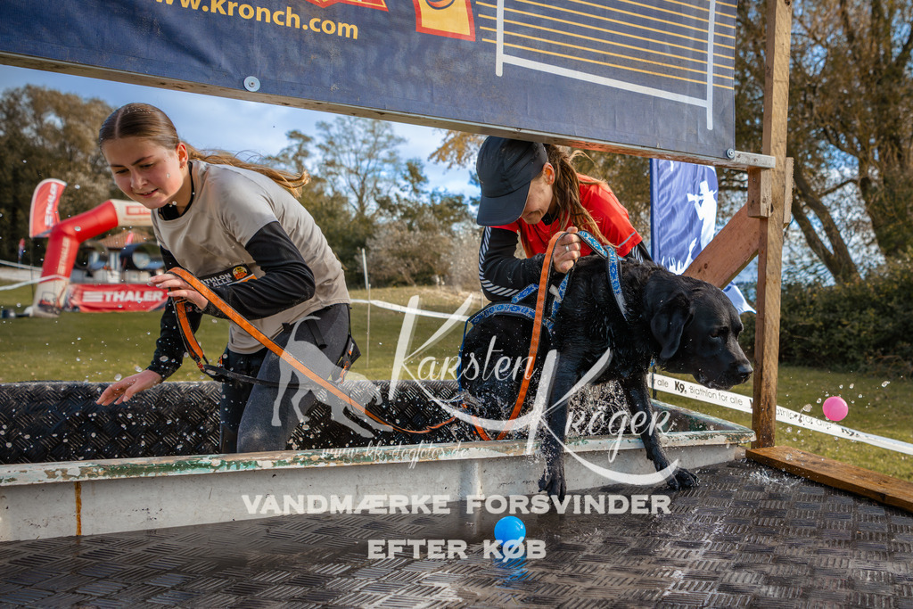 1548_ZZ97172 | kk-dogfotos