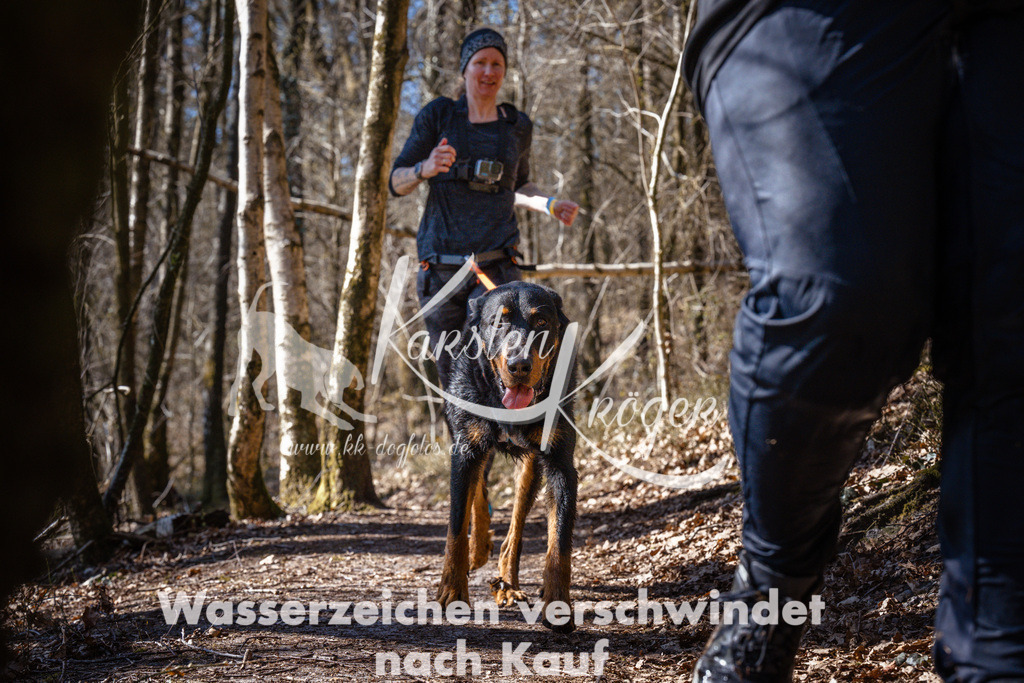 1141_ZZ99781 | kk-dogfotos