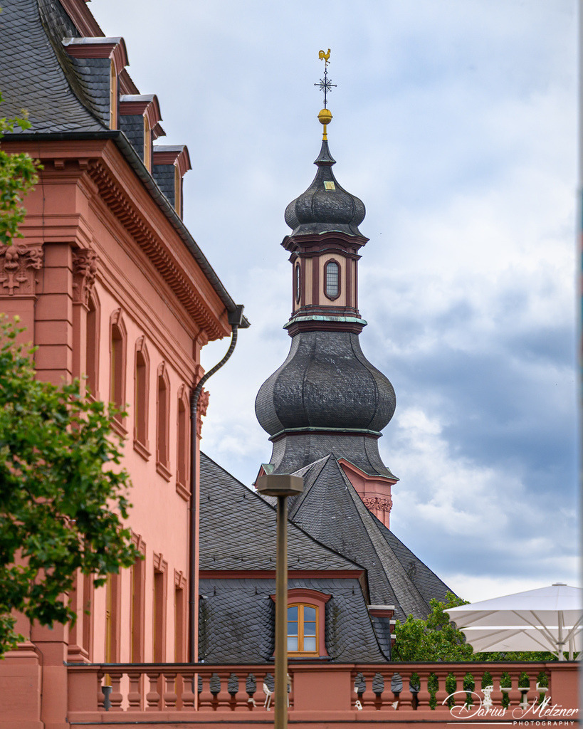 DSC_9065 | Fotografien, Fotos und Bilder aus Mainz, Frankfurt, Wiesbaden und anderen Orten auf der Welt - Fotografiert von Darius Metzner