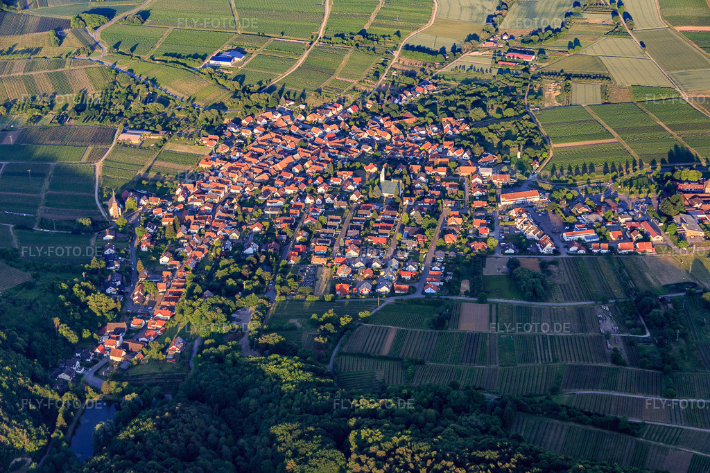 Luftbild: Winzerort am Haardtrand aus Westen im Ortsteil Rechtenbach in Schweigen-Rechtenbach im Bundesland Rheinland-Pfalz in Deutschland. Foto: IMG_080324.jpg vom 05.06.2015 durch Werner Riehm/FLY-FOTO.de