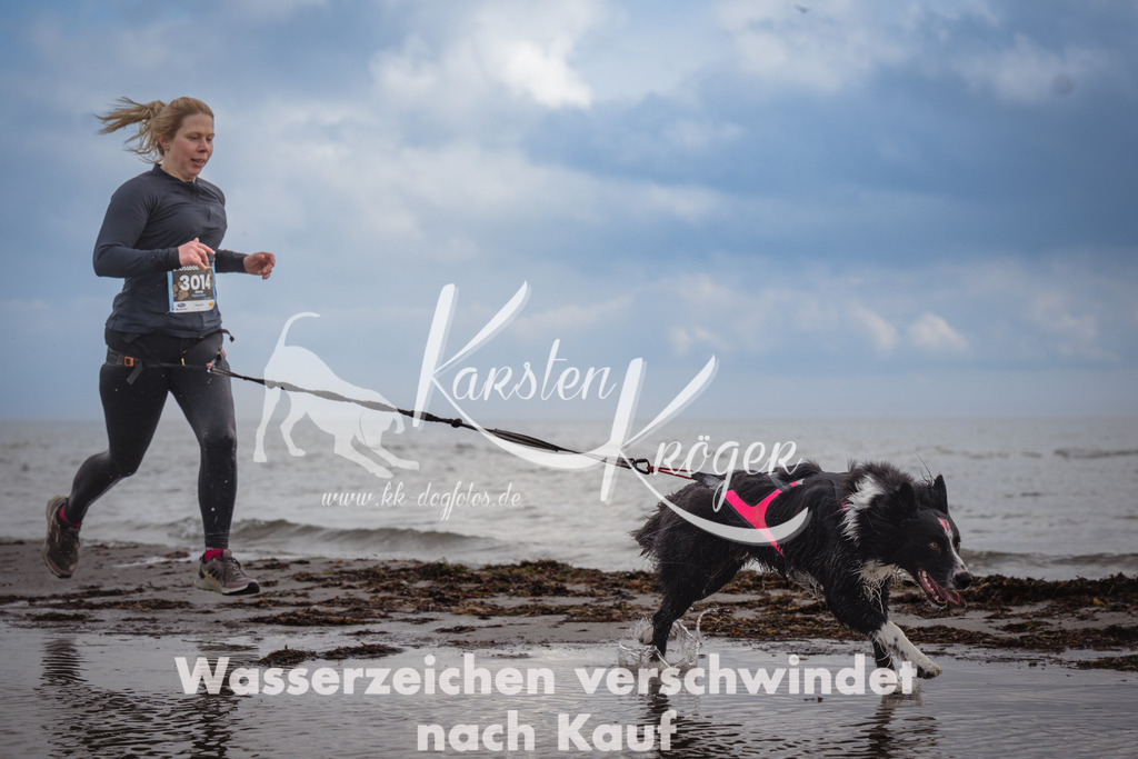 1212_ZZ94940 | kk-dogfotos
