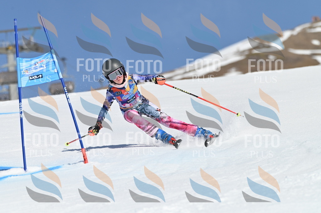 BGV_8573 | holidayphoto