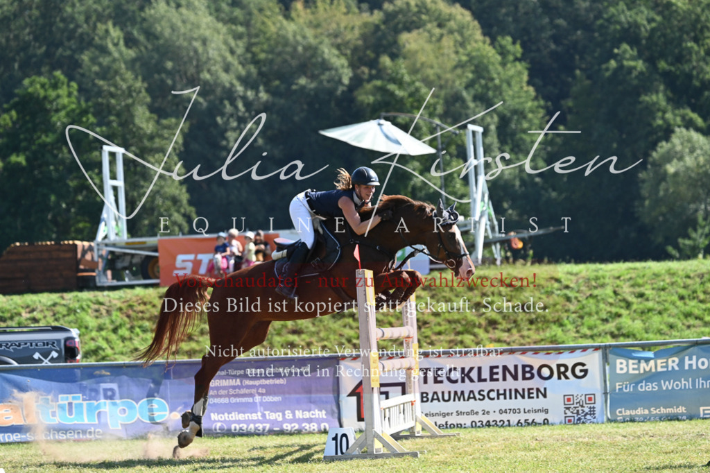 DSC_6474 | Pferde- und Turnierfotografie in Westsachsen. Pferdeportraits, Auftragszeichnungen und intuitive Kunst.