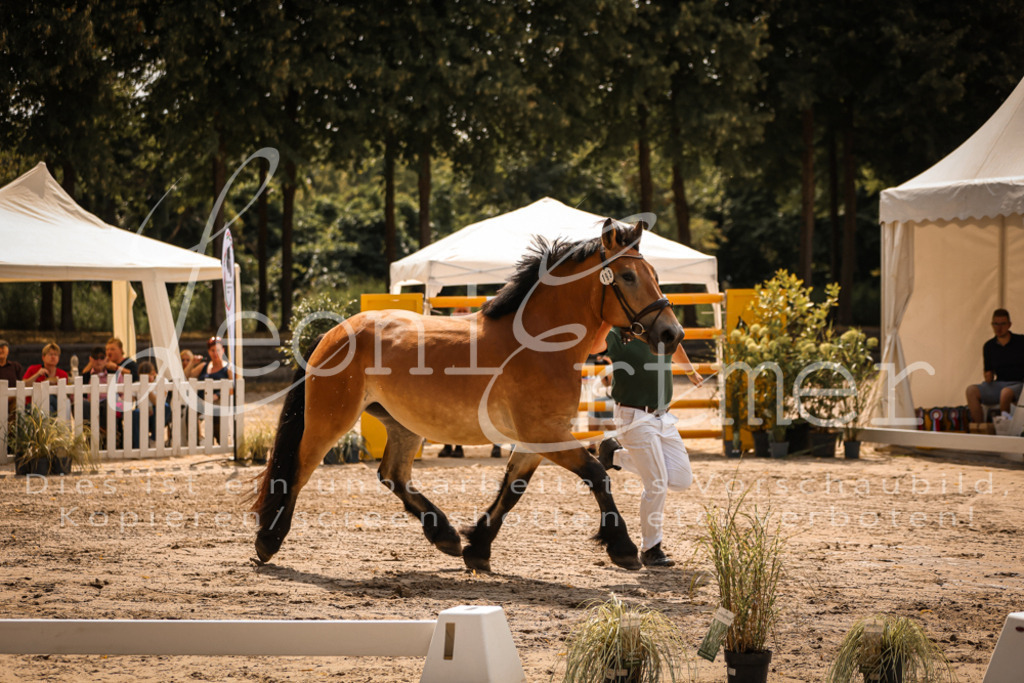 2.Sa00081 | Leoni Ertmer Photography - Realisiert mit Pictrs.com