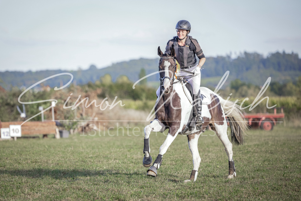20250906-_3LI8130 | Tierfotografie Pferde, Hunde, Katzen, Haustiere.
Turnierfotografie Reitturniere, Reiten, Springreiten, Dressur in Hanau, dem Main-Kinzig-Kreis und dem Rhein-Main- Gebiet um Frankfurt