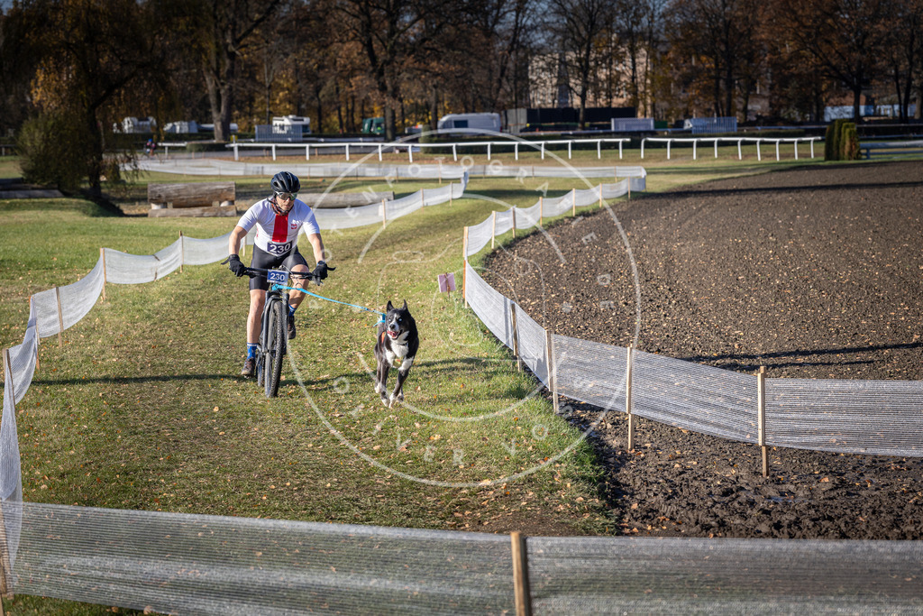 CaniXpix_DV3A3836 | Hundefotografie, Tierfotograf, Pfotenfotografie, Fotoshooting Hund, Hunde Portrait, Hundesport, Hundeportraits, Heideshooting, Hunde, Sportfotograf, Hundefotograf, Turnierhundsport, THS,  - Realisiert mit Pictrs.com