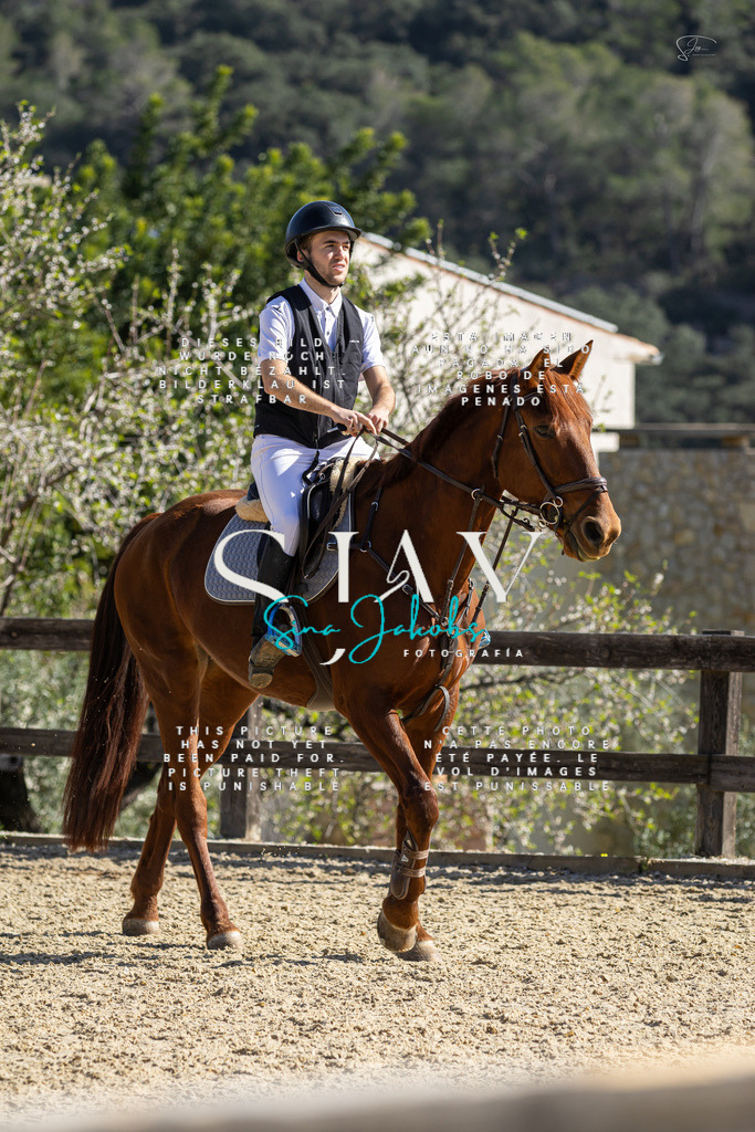 IMG_6180 | s-jay-photography - Realisiert mit Pictrs.com