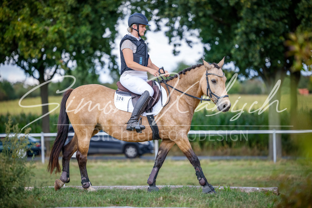 20250905-_3LI0262 | Tierfotografie Pferde, Hunde, Katzen, Haustiere.
Turnierfotografie Reitturniere, Reiten, Springreiten, Dressur in Hanau, dem Main-Kinzig-Kreis und dem Rhein-Main- Gebiet um Frankfurt