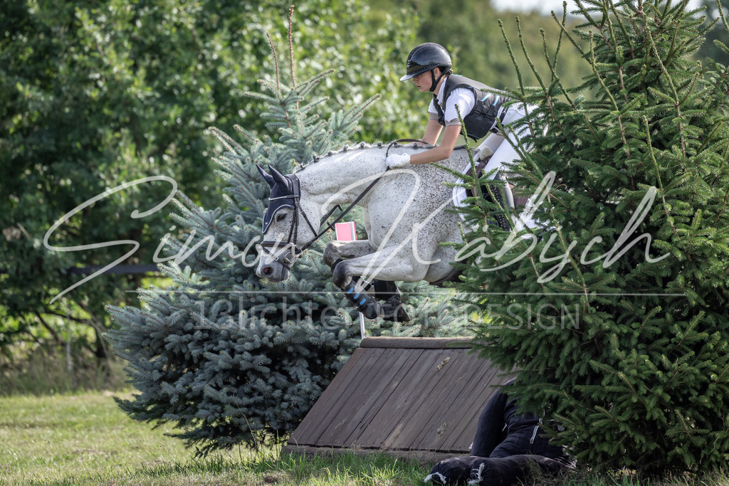 20250907-_3LI9364 | Tierfotografie Pferde, Hunde, Katzen, Haustiere.
Turnierfotografie Reitturniere, Reiten, Springreiten, Dressur in Hanau, dem Main-Kinzig-Kreis und dem Rhein-Main- Gebiet um Frankfurt