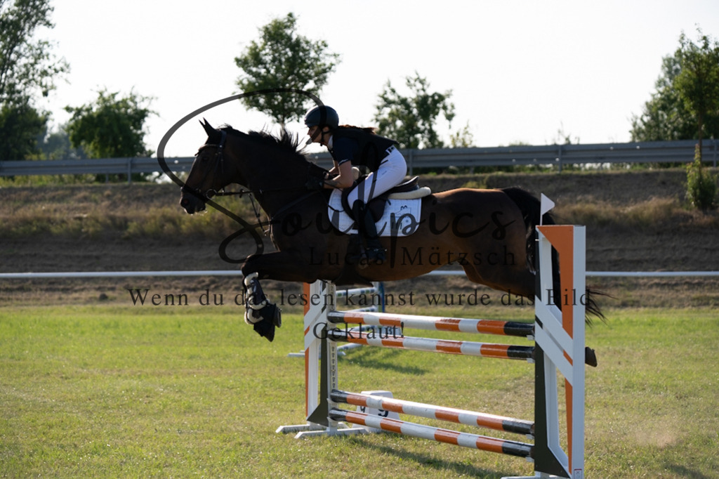 A7V00874 | Pferdefotograf