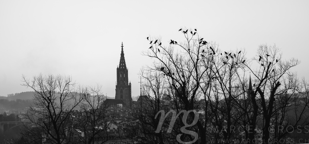 Berner Münster beim Sonnenuntergang | Die ideale Geschenkidee für Naturliebhaber. Naturbilder von Marcel Gross Photography für ihr Zuhause in den verschiedensten Formaten und Materialien. - Realisiert mit Pictrs.com