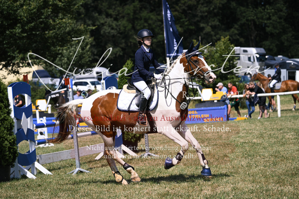 DSC_0333 | Pferde- und Turnierfotografie in Westsachsen. Pferdeportraits, Auftragszeichnungen und intuitive Kunst.