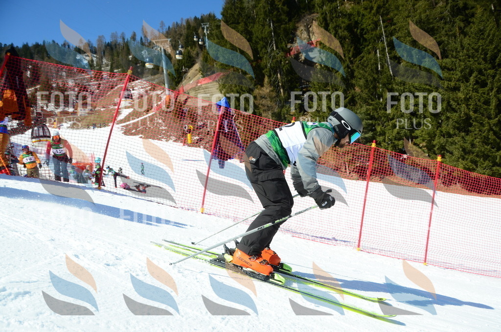 C6647 | holidayphoto