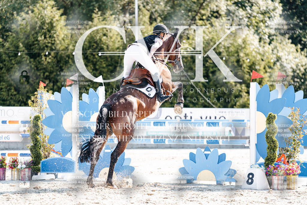 CK902234 | Turnierfotografie Pferdefotografie Trier Rheinland-Pfalz Pferdesport Reitsport Tierfotografie Sportfotografie Pferdevideo Pferdevideografie Equestrianvideography equestrianphotography  - Realisiert mit Pictrs.com