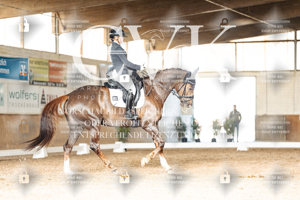 CK902749 | Turnierfotografie Pferdefotografie Trier Rheinland-Pfalz Pferdesport Reitsport Tierfotografie Sportfotografie Pferdevideo Pferdevideografie Equestrianvideography equestrianphotography  - Realisiert mit Pictrs.com