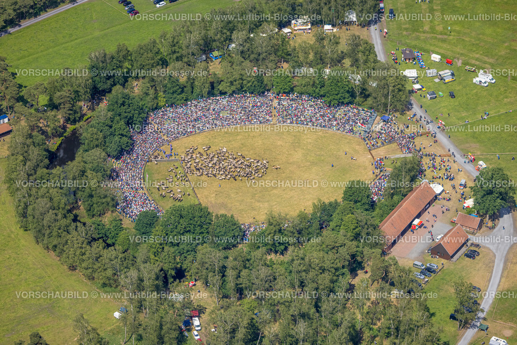 Duelmen220505175MerfelderBruchPferde | Luftbild, Wildpferdefang im Merfelder Bruch bei Dülmen, Arena der Wildpferdebahn, Herzöge von Croÿ Anwesen, Pferdeherde,  Merfeld, Dülmen, Münsterland, Nordrhein-Westfalen, Deutschland