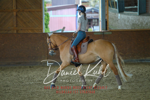 DKP42907 | Turniersportfotografie; Pferdefotografie; Dressurfotografie