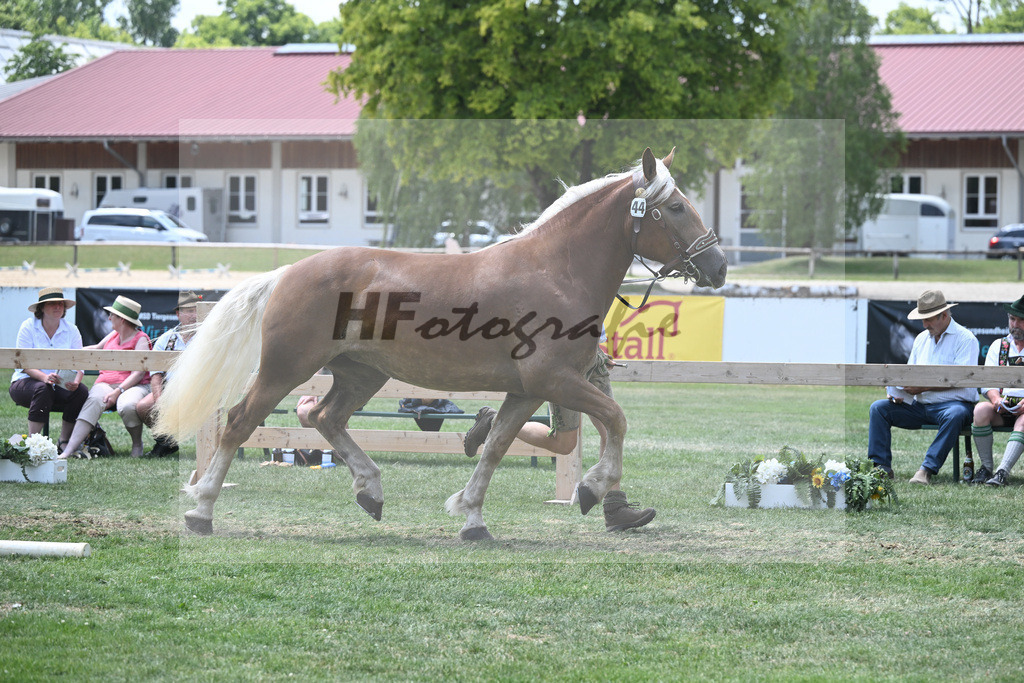 Kat-Nr. 44 Nanni_Probst_20230683 | hf-fotografie - Realisiert mit Pictrs.com