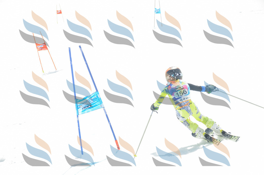 _ELE6383 | holidayphoto