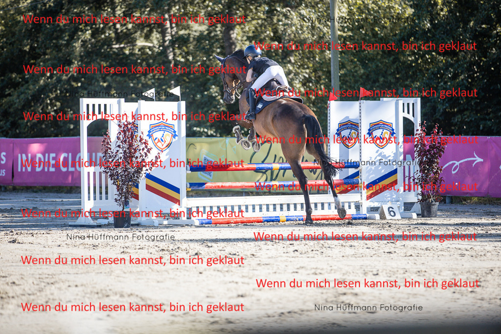 BK1A7447 | Turnierbilder Turnierfotos Nina Hüffmann Turnierfotografie Pferdefotografie Tierzeichnung Haustierzeichnung Pferdezeichnung Hundezeichnung Videograf  - Realisiert mit Pictrs.com