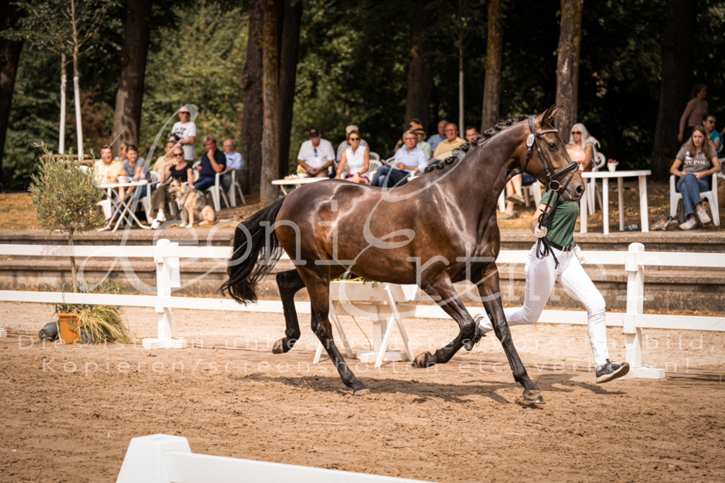 3.Fr00016 | Leoni Ertmer Photography - Realisiert mit Pictrs.com