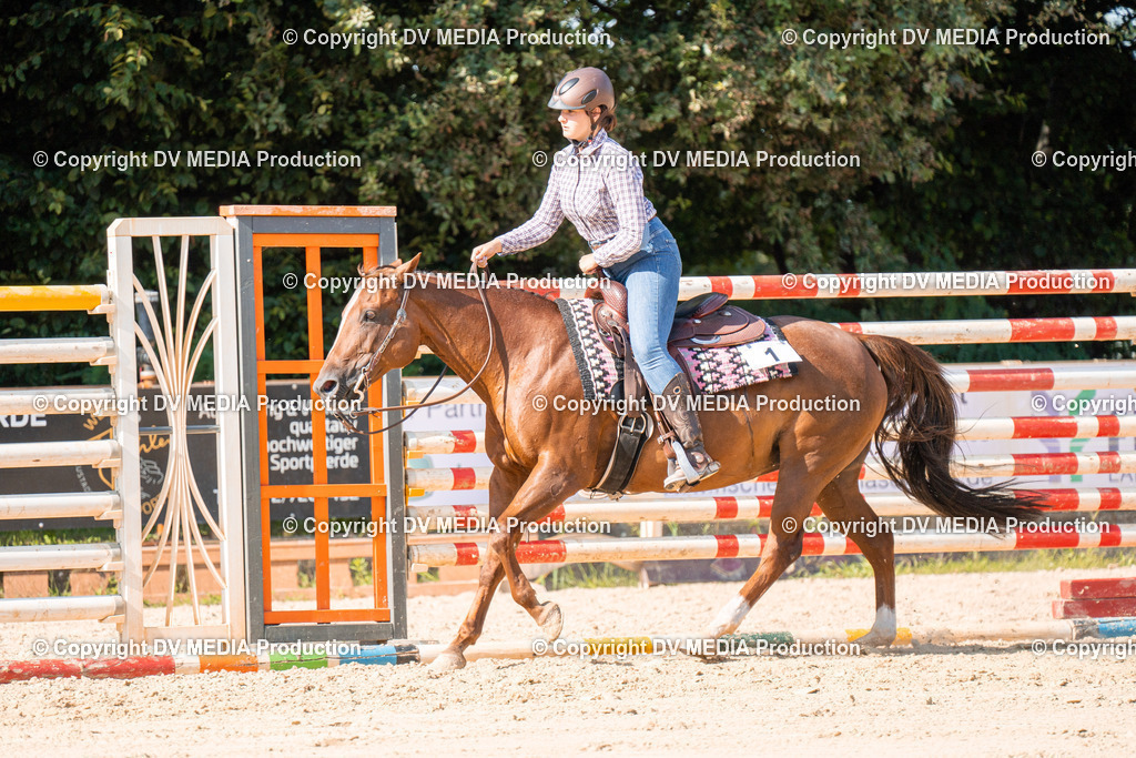 ZH100710 | dv-media-shop - Realisiert mit Pictrs.com