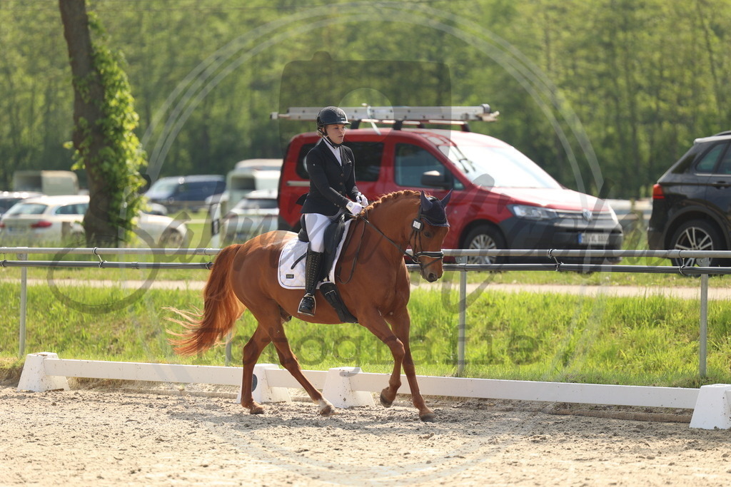 994A6713 | sabrinanicolaifotografie - Realisiert mit Pictrs.com
