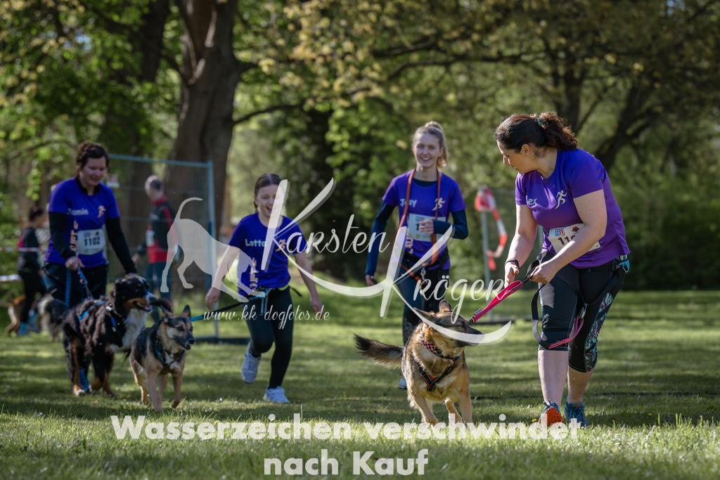 0959_ZZ94224 | kk-dogfotos