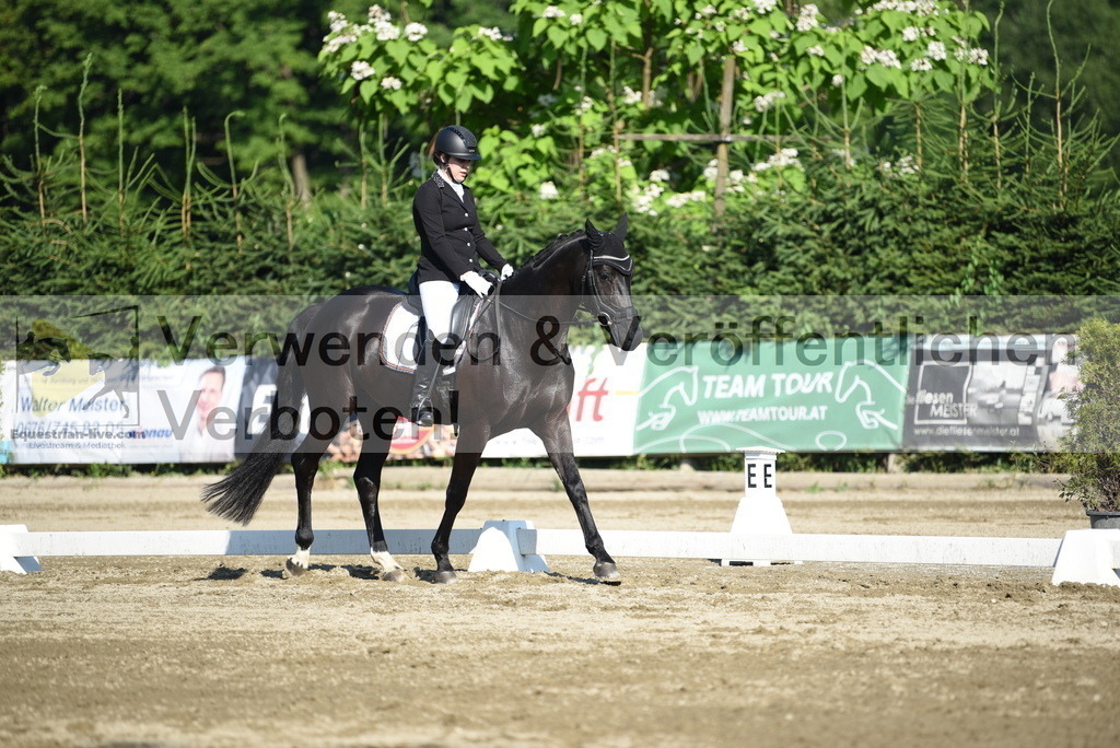 DSC_7121 | equestrian-live-com