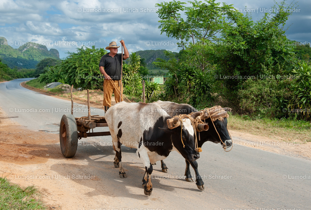 202510-102 | Stockfoto und Bilderpool mit Bildmaterial aus Deutschland, dem Harz, Halberstadt, Quedlinburg, Wernigerode und weltweit. Qualitativ hochwertige und professionelle Fotos anschauen und kaufen. - Realisiert mit Pictrs.com