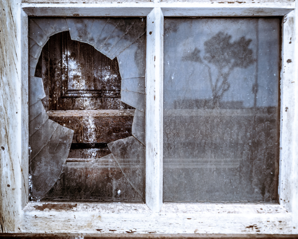 20250317-114706 LA PALMA_029-1 | Herzlich willkommen auf meiner Seite! Ich bin Elke Wallnisch, Deine Fotografin für lichtstarke Momente. Der Name steht für alles, was mich mit der Fotografie verbindet: Das Licht und seine machtvolle Wirkung auf eine Situation oder unsere Stimmung - Realisiert mit Pictrs.com