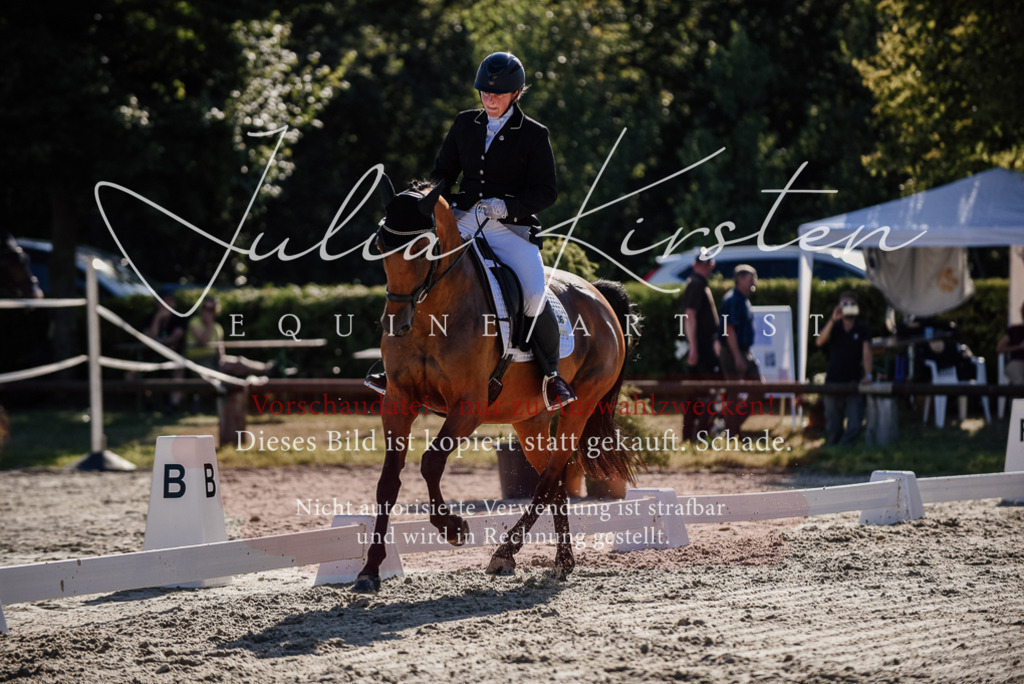 DSC_0374 | Pferde- und Turnierfotografie in Westsachsen. Pferdeportraits, Auftragszeichnungen und intuitive Kunst.
