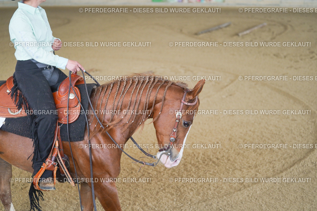 DSC03448 | Pferdegrafie