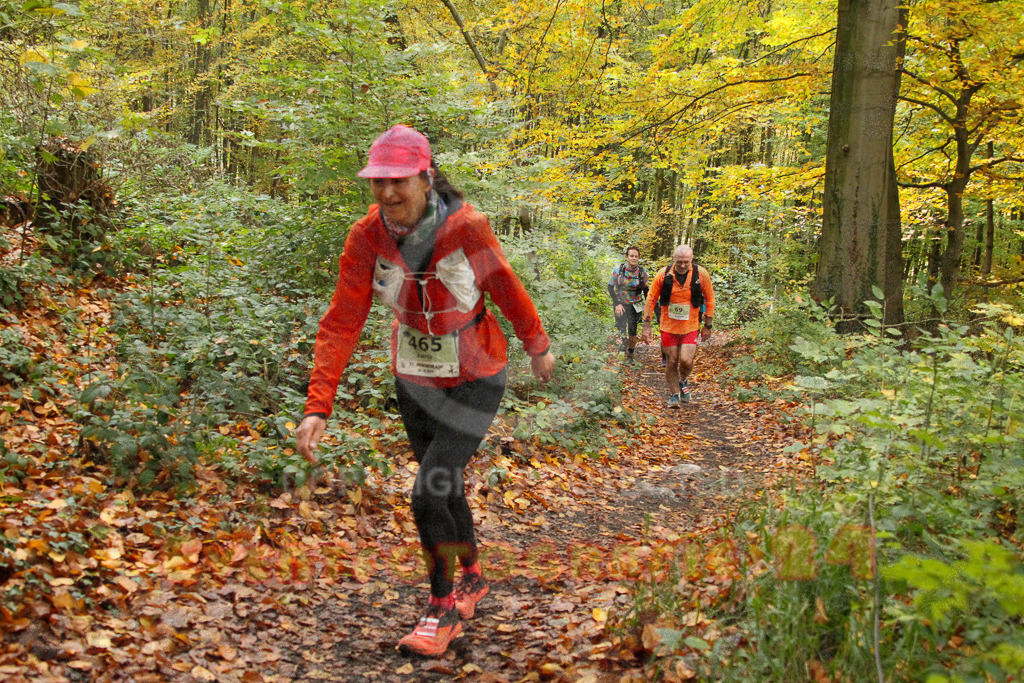 251026_1307_EV4_6521 | Sportfotografie im Rhein-Sieg Kreis, Köln, Bonn, NRW, Rheinland Pfalz, Hessen, etc. Unser Tätigkeitsfeld umfasst den Laufsport vom Volkslauf über den Marathon, Duathlon, Triathon bis zum Ultralauf wie Kölnpfad Ultra oder Schindertrail.