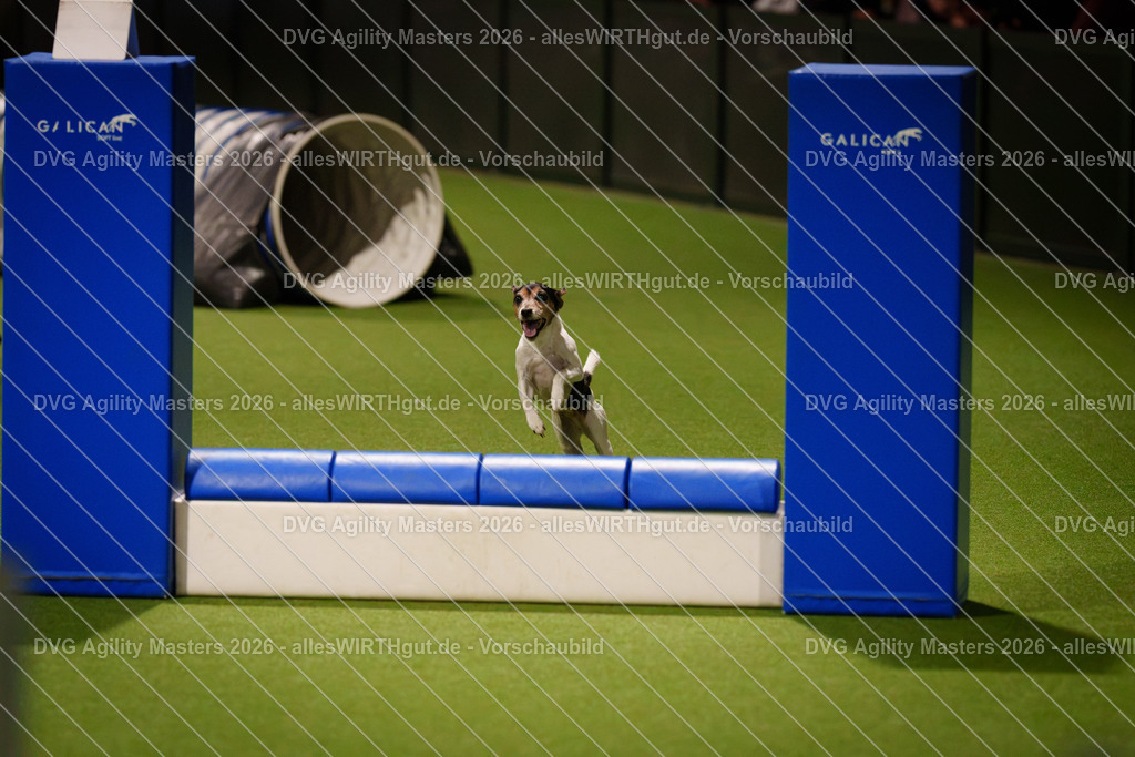 allesWIRTHgut_Tierfotografie-DVG_Agility_Masters_2026-18_03-7R506403 | Professionelle Tierfotografie in Mönchengladbach von Daniel Wirth (allesWIRTHgut). Liebevolle & natürliche Bilder von Hunden & Katzen für unvergessliche Erinnerungen.