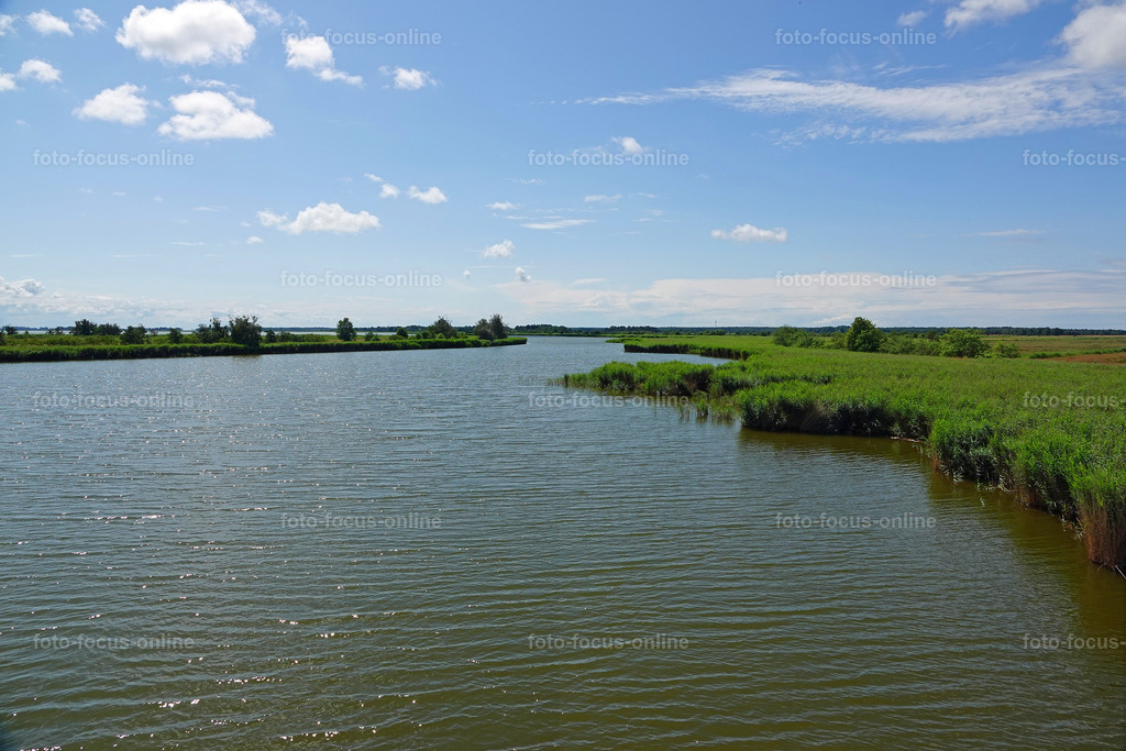 Prerow Bodden Landscape | Landscape photography, spectacular waves, Atlantic Ocean, Baltic Sea