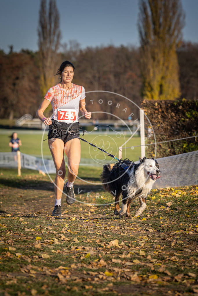 CaniXpix_DV3A2562 | Hundefotografie, Tierfotograf, Pfotenfotografie, Fotoshooting Hund, Hunde Portrait, Hundesport, Hundeportraits, Heideshooting, Hunde, Sportfotograf, Hundefotograf, Turnierhundsport, THS,  - Realisiert mit Pictrs.com