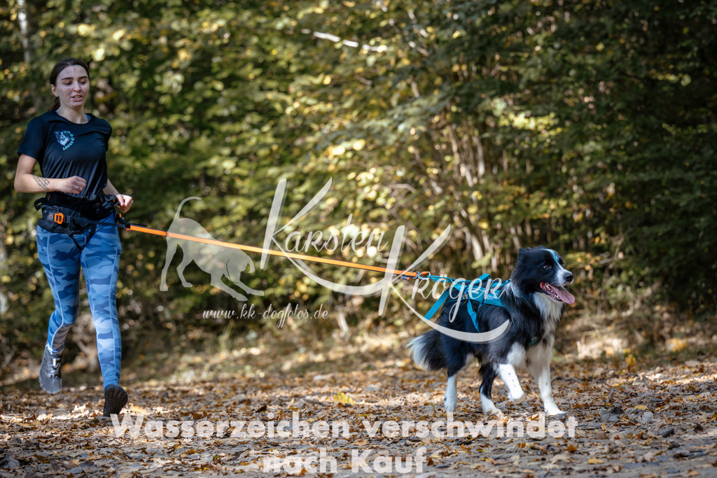 1246_ZZ96081 | kk-dogfotos