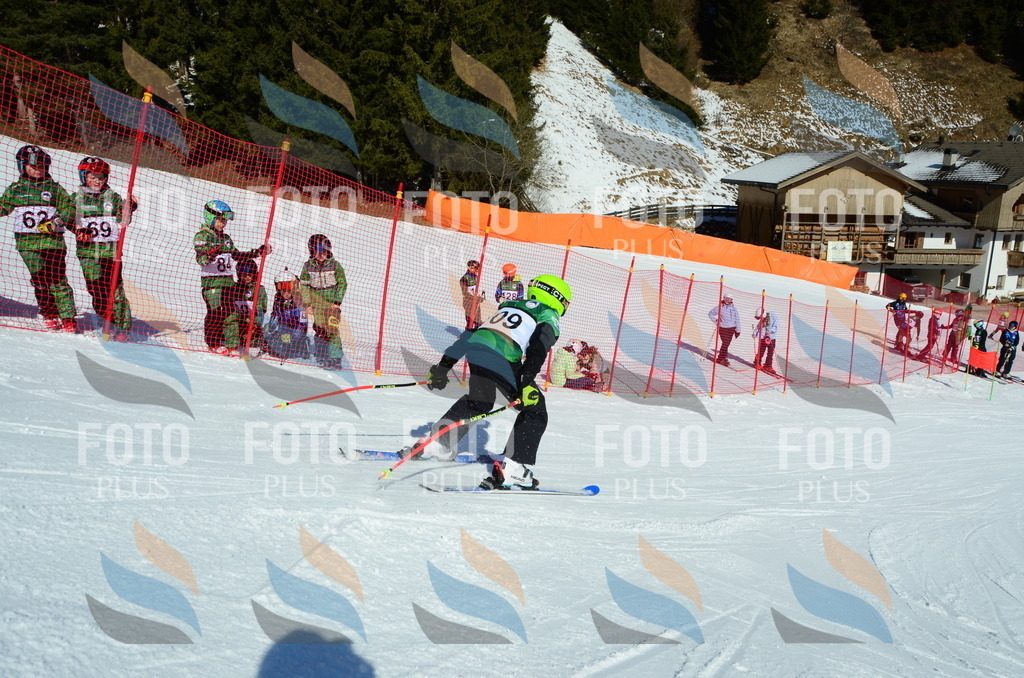 C5166 | holidayphoto