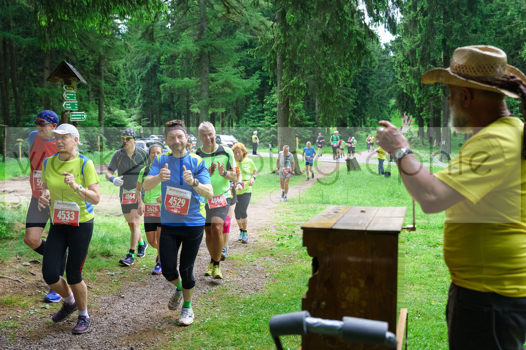 Rennsteiglauf 2018 | Neuhaus/Rwg. - Schmiedefeld am 26. Mai 2018