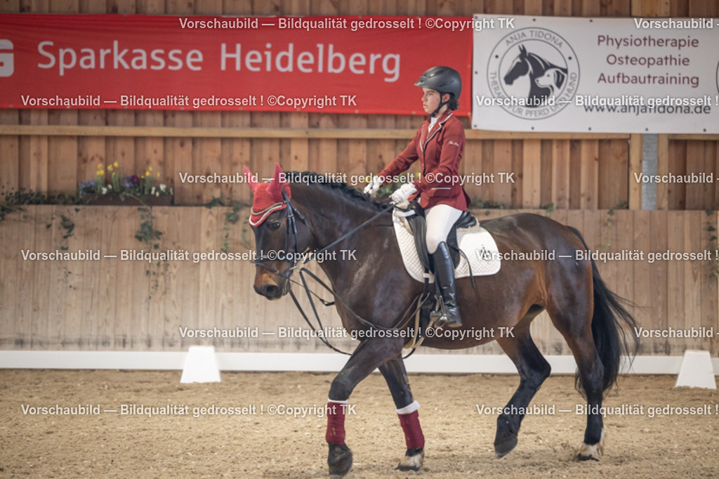 _D5A5514 | Emotionale Pferde- & People-Fotografie rund um Heidelberg, Leimen & Umgebung. Natürliche Fotos von Pferd, Mensch & Familie. Jetzt Termin sichern!