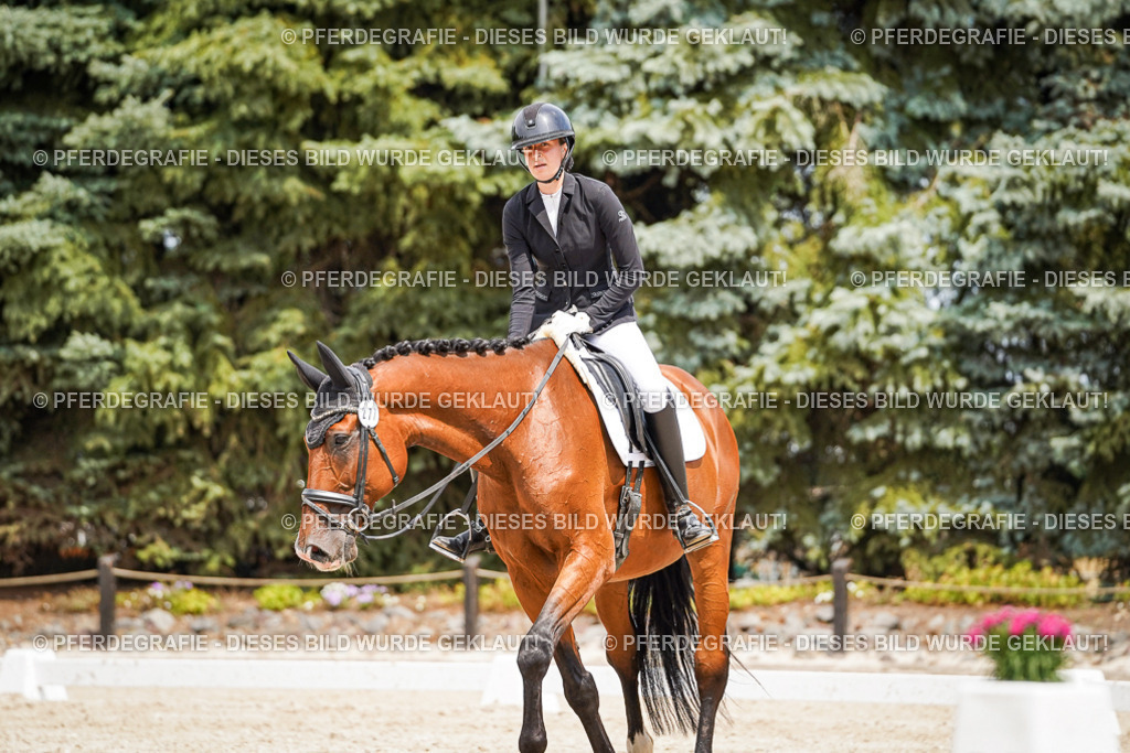 DSC03729 | Pferdegrafie