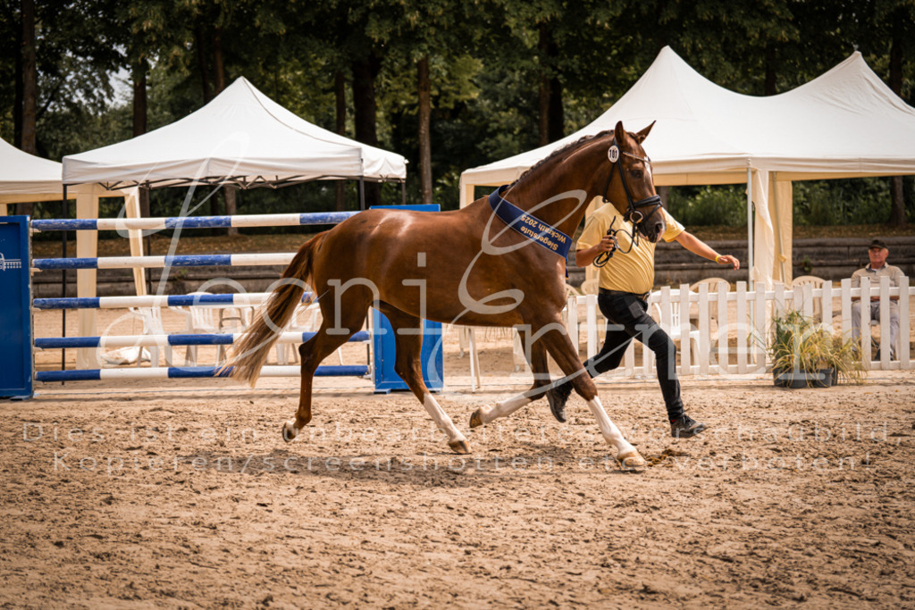 3.Fr00273 | Leoni Ertmer Photography - Realisiert mit Pictrs.com