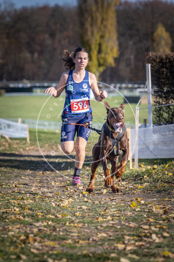 CaniXpix_DV3A9394 | Hundefotografie, Tierfotograf, Pfotenfotografie, Fotoshooting Hund, Hunde Portrait, Hundesport, Hundeportraits, Heideshooting, Hunde, Sportfotograf, Hundefotograf, Turnierhundsport, THS,  - Realisiert mit Pictrs.com