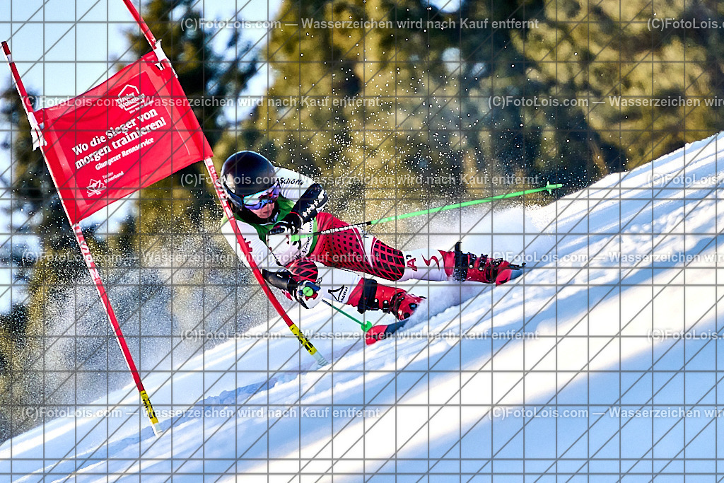 _ALP3732_FIS-Masters-GS-II_Glungezer_Bergner Doris | FIS-MASTERS-WorldCup am Glungezer, GiantSlalom-II, So 18. Jänner 2026.