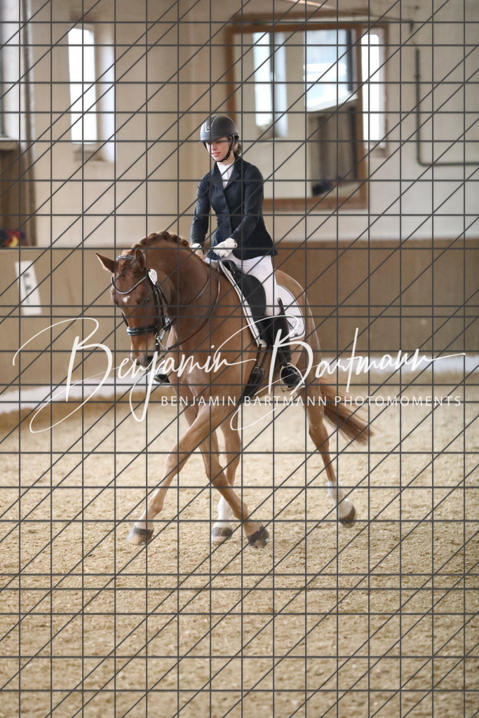 AZ2A2017 | Benjamin Bartmann Photomoments