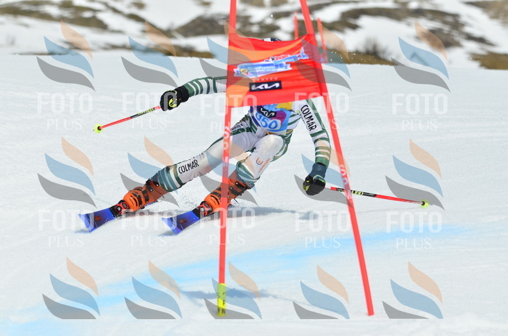 _ELE2672 | holidayphoto